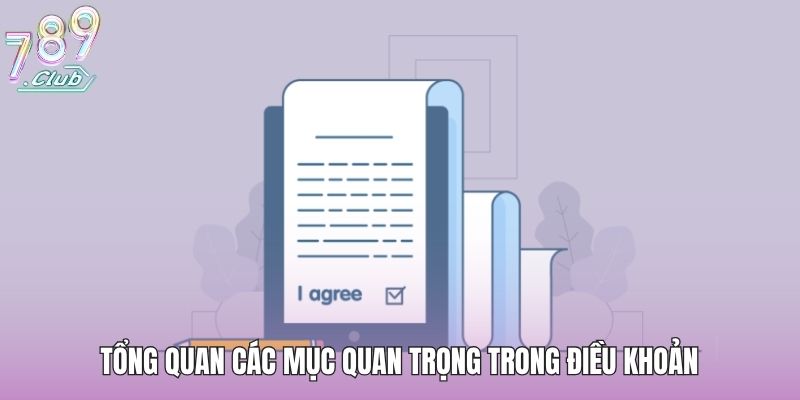 Điều Khoản Sử Dụng - Hướng Dẫn Đảm Bảo Quyền Lợi Chi Tiết 2 Tổng quan các mục quan trọng trong điều khoản